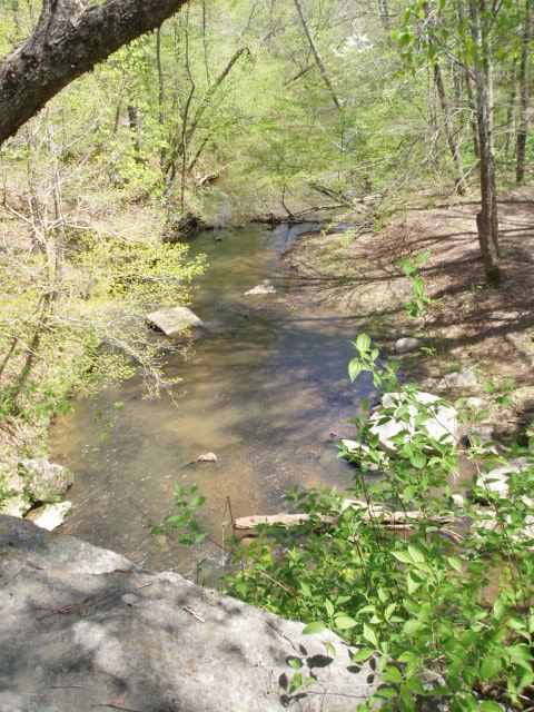 Rock Bridge Downstream